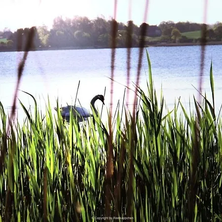 Holiday home Voor De Schlei Arnis