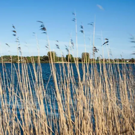 Voor De Schlei Arnis